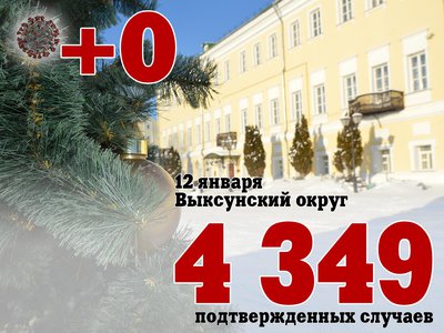 В Выксе +0, в Нижегородской области +152, в России +17 946