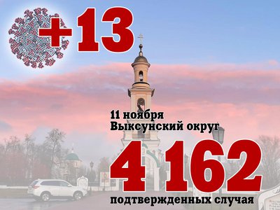 В Выксе +13, в Нижегородской области +783, в России +40 759