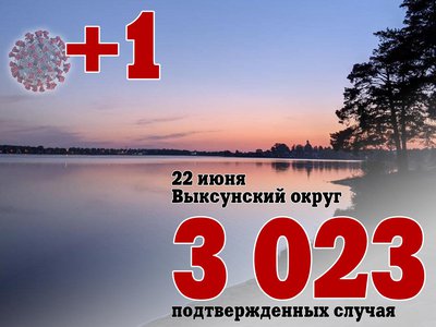 В Выксе +1, в Нижегородской области +269, в России +16 715