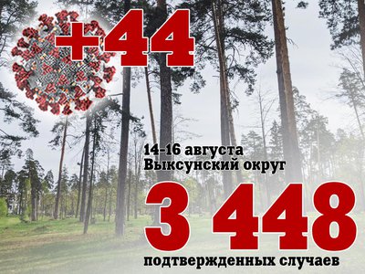 За три дня в Выксе +44, в Нижегородской области +1 611, в России +64 533