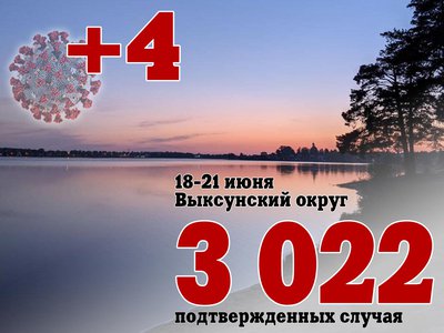 За три дня в Выксе +4, в Нижегородской области +748, за сутки в России +17 378