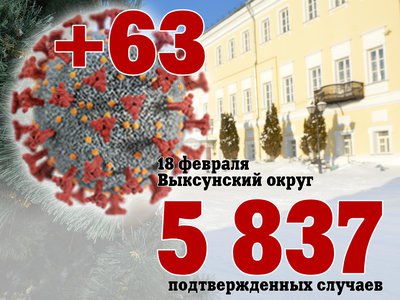 В Выксе +63, в Нижегородской области +3 892, в России +180 071