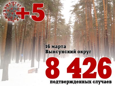 В Выксе +5, в Нижегородской области +919, в России +36 519