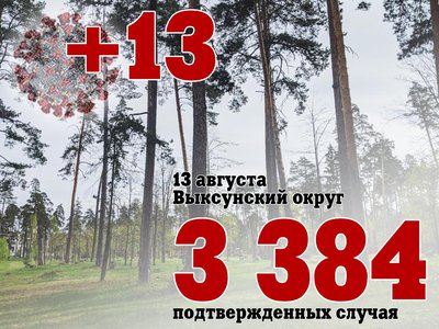 В Выксе +13, в Нижегородской области +480, в России +22 277