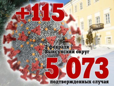 В Выксе +115, в Нижегородской области +2 799, в России +141 883
