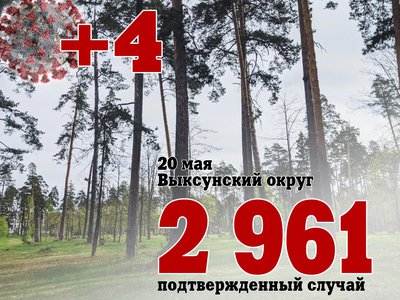 В Выксе +4, В Нижегородской области +142, В России +9 232