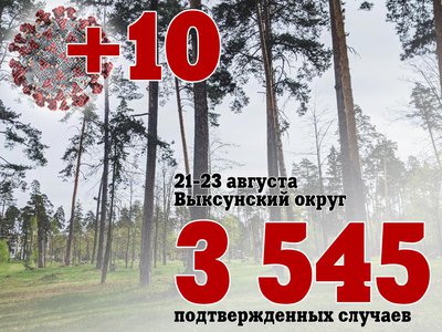 За три дня: в Выксе +10, в Нижегородской области +1 454, в России +61 018