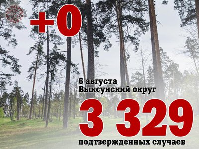 В Выксе +0, в Нижегородской области +546, в России +22 660