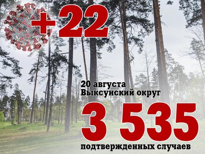 В Выксе +22, в Нижегородской области +506, в России +20 992