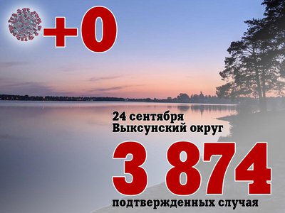 В Выксе +0, в Нижегородской области +511, в России +21 379