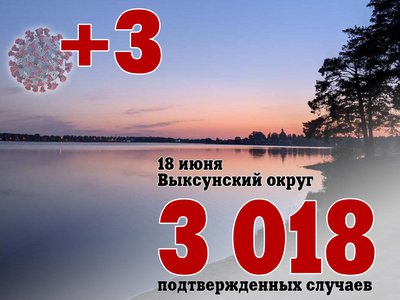 В Выксе +3, в Нижегородской области +218, в России +17 262