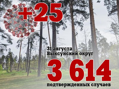 В Выксе +25, в Нижегородской области +409, в России +17 813