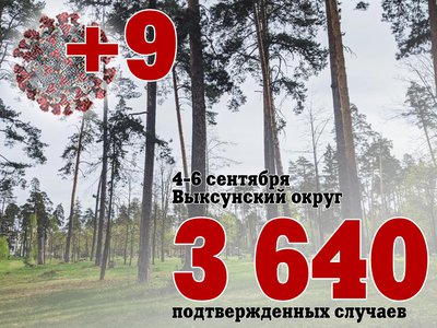 За трое суток в Выксе +9, в Нижегородской области +1 179, за день в России +17 856