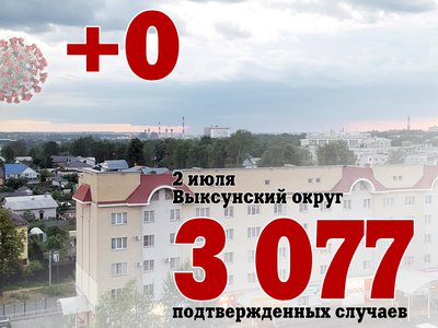 В Выксе +0, в Нижегородской области +382, в России +23 218