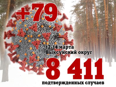 За три дня в Выксе +79, за день в Нижегородской области +1 004, в России +41 055