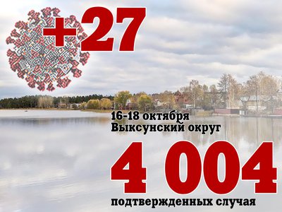 За три дня в Выксе +27, в Нижегородской области +2 132, за день в России +34 325