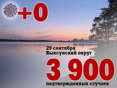 В Выксе +0, в Нижегородской области +555, в России +22 430