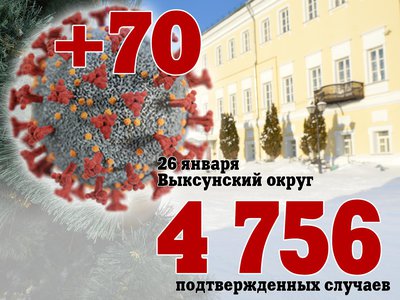 В Выксе +70, в Нижегородской области +1 551, в России +74 692