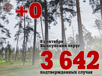 В Выксе +0, в Нижегородской области +398, в России +18 024