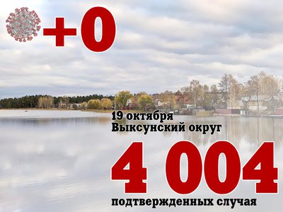 В Выксе +0, в Нижегородской области +715, в России +33 740