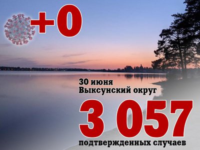 В Выксе +0, в Нижегородской области +358, в России +21 042