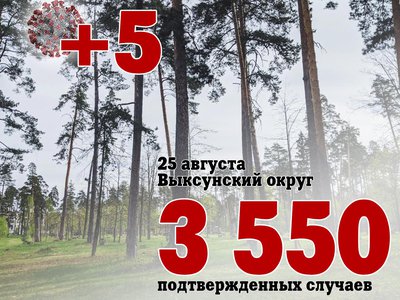 В Выксе +5, в Нижегородской области +433, в России +19 536