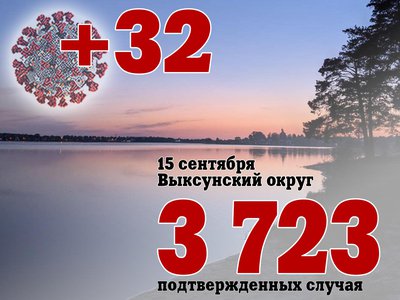 В Выксе +32, в Нижегородской области +428, в России +18 841