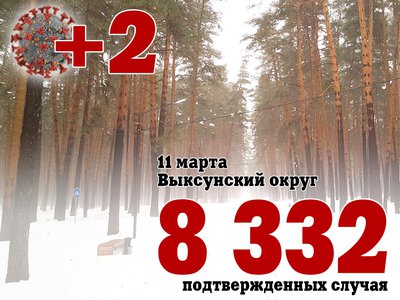 В Выксе +2, в Нижегородской области +1 484, в России +50 743