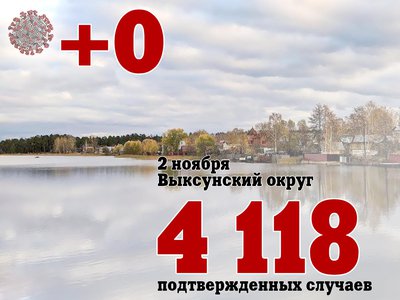 В Выксе +0, в Нижегородской области +789, в России +39 008