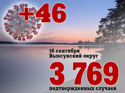 В Выксе +46, в Нижегородской области +437, в России +19 594