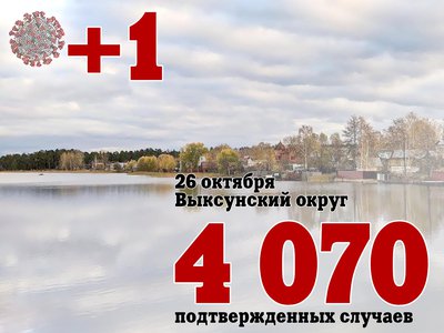 В Выксе +1, в Нижегородской области +762, в России +36 446