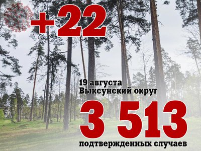 В Выксе +22, в Нижегородской области +501, в России +21 058