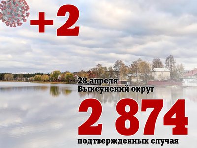 В Выксе +2, в Нижегородской области +179, в России +7 848