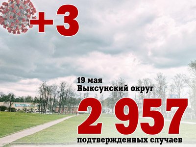 В Выксе +3, в Нижегородской области +331, в России +7 920