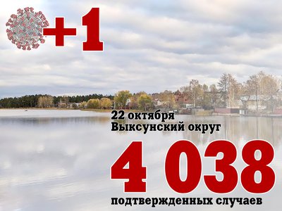 В Выксе +1, в Нижегородской области +749, в России +37 141