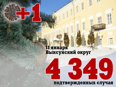 В Выксе +1, в Нижегородской области +205, в России +17 525