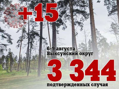 За три дня в Выксе +15, в Нижегородской области +1 633, за сутки в России +22 160