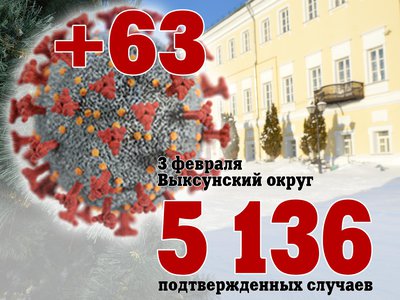 В Выксе +63, в Нижегородской области +2 980, в России +155 768