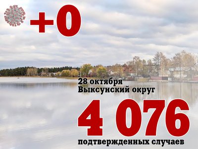 В Выксе +0, в Нижегородской области +794, в России +40 096