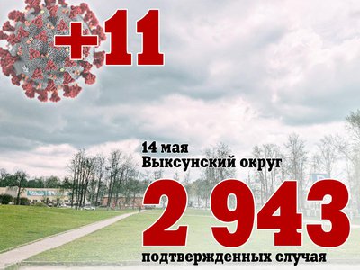В Выксе +11, в Нижегородской области +126, в России +9 462