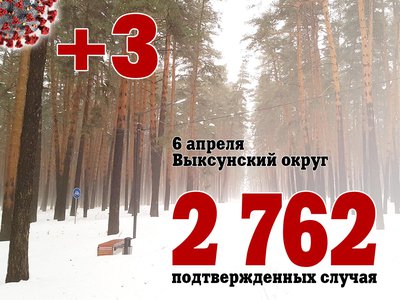 В Выксе +3, в Нижегородской области +241