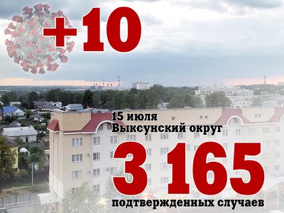В Выксе +10, в Нижегородской области +528, в России +25 293
