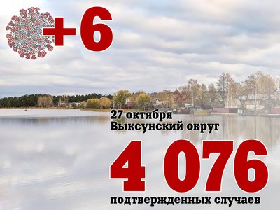 В Выксе +6, в Нижегородской области +783, в России +36 582