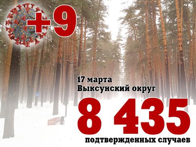 В Выксе +9, в Нижегородской области +901, в России +34 819