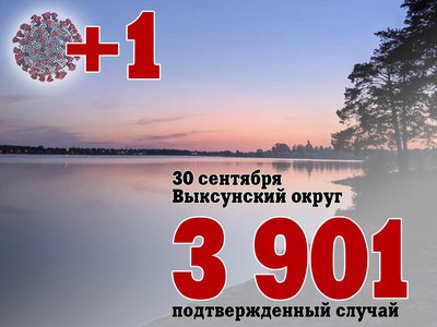 В Выксе +1, в Нижегородской области +563, в России +23 888