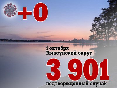 В Выксе +0, в Нижегородской области +572, в России +24 522