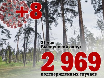В Выксе +8, в Нижегородской области +145, в России +8 937