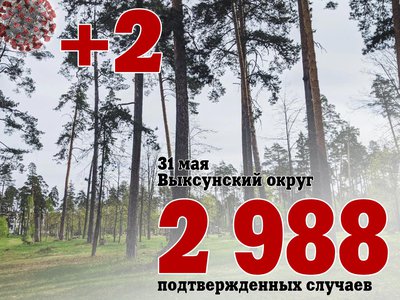 За три дня в Выксе +2, в Нижегородской области +433, в России +27 458