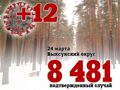 В Выксе +12, в Нижегородской области +828, в России +25 387