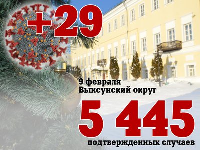 В Выксе +29, в Нижегородской области +5 744, в России +183 103